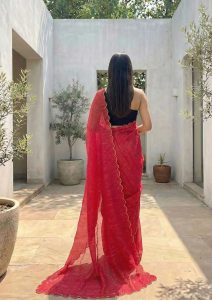 Aria Red Soft Mulmul Cotton Saree with Gold Stripes
