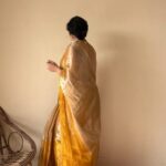 Kanika | Silver Gold Cotton Tissue Handloom Saree